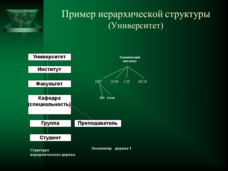 Пример иерархической структуры (Университет) Университет Структура иерархического дерева  Технический институт ИВТ  
